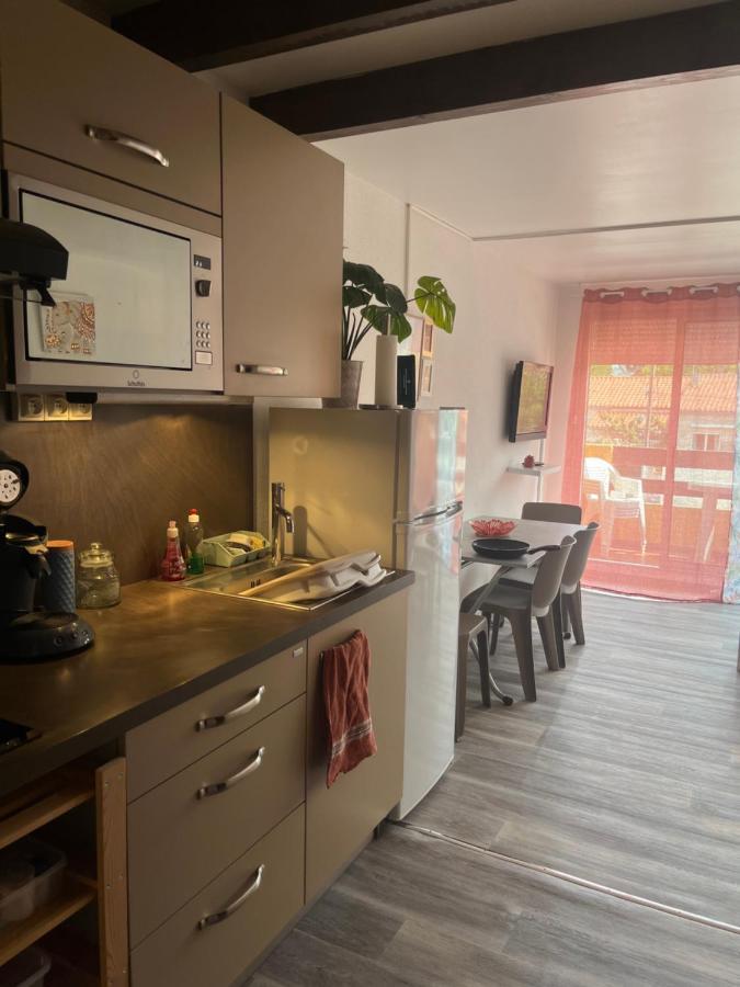 Appartement Argeles-Sur-Mer Avec Piscine A 500M De La Mer Ngoại thất bức ảnh